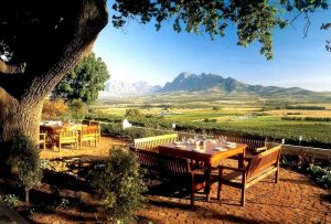 Winelands_foto_1159110256