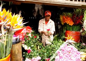 600px-Antananarivo_Flower_Market_005