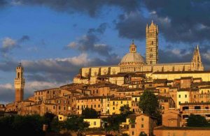 siena-9591_w514h620