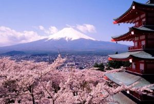 1359147337_sakura-fujiyama-tokyo-japan