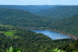 misiones rainforest