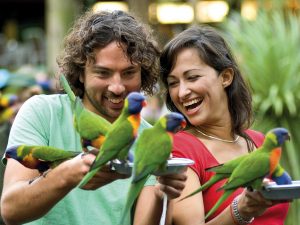 Currumbin Sanctuary 